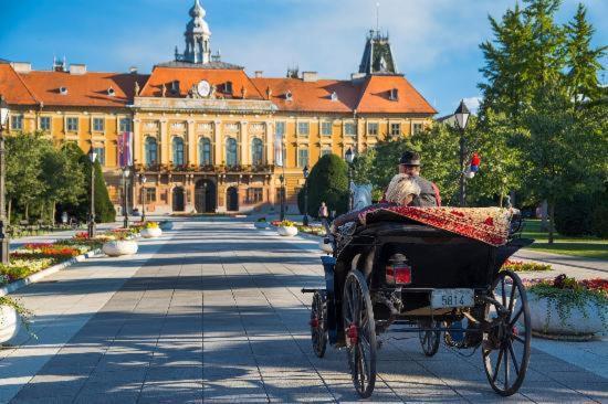 Prenociste Sana Sombor Apartment Bagian luar foto